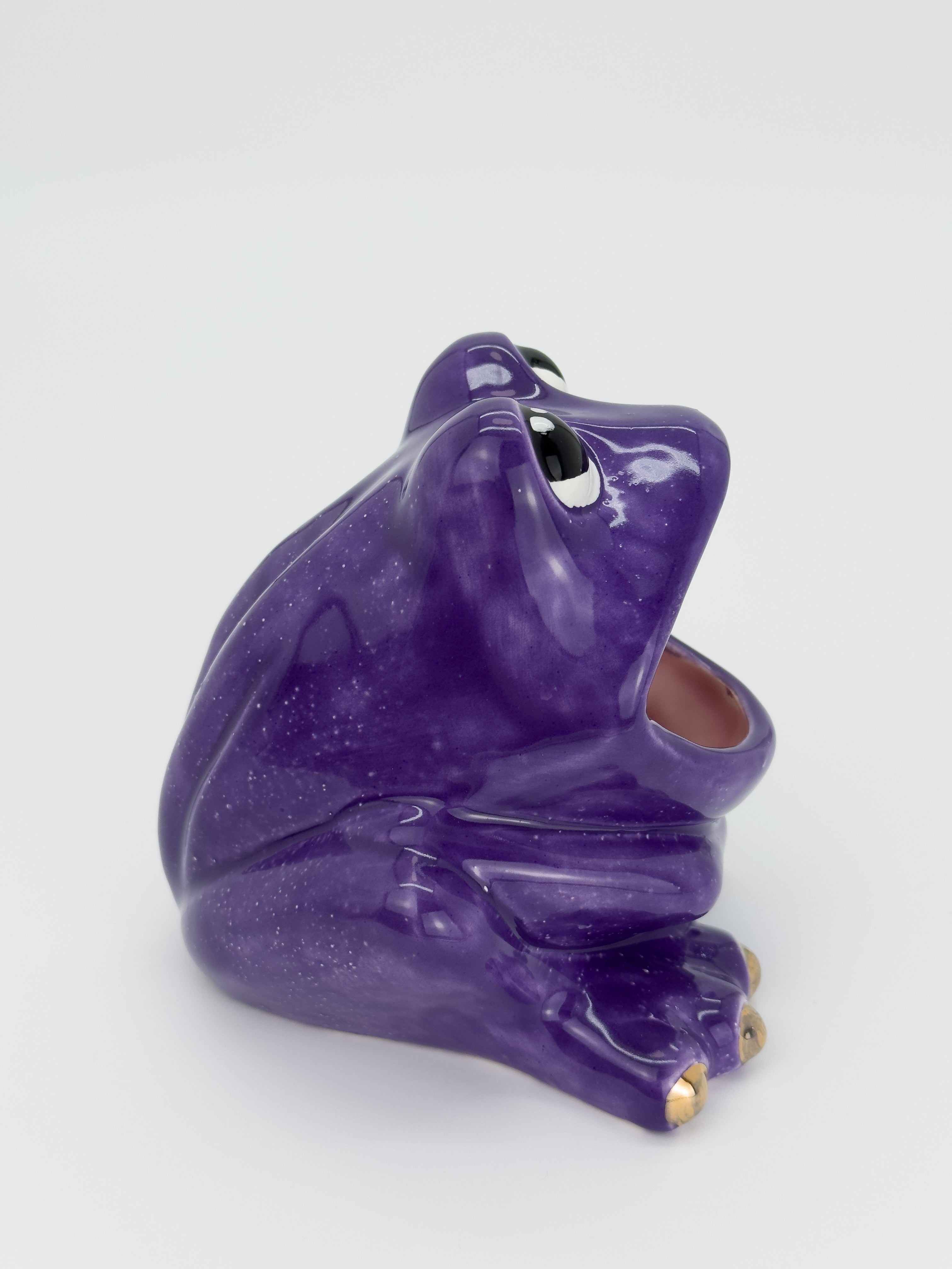 Purple Frog Catch-All (Medium)