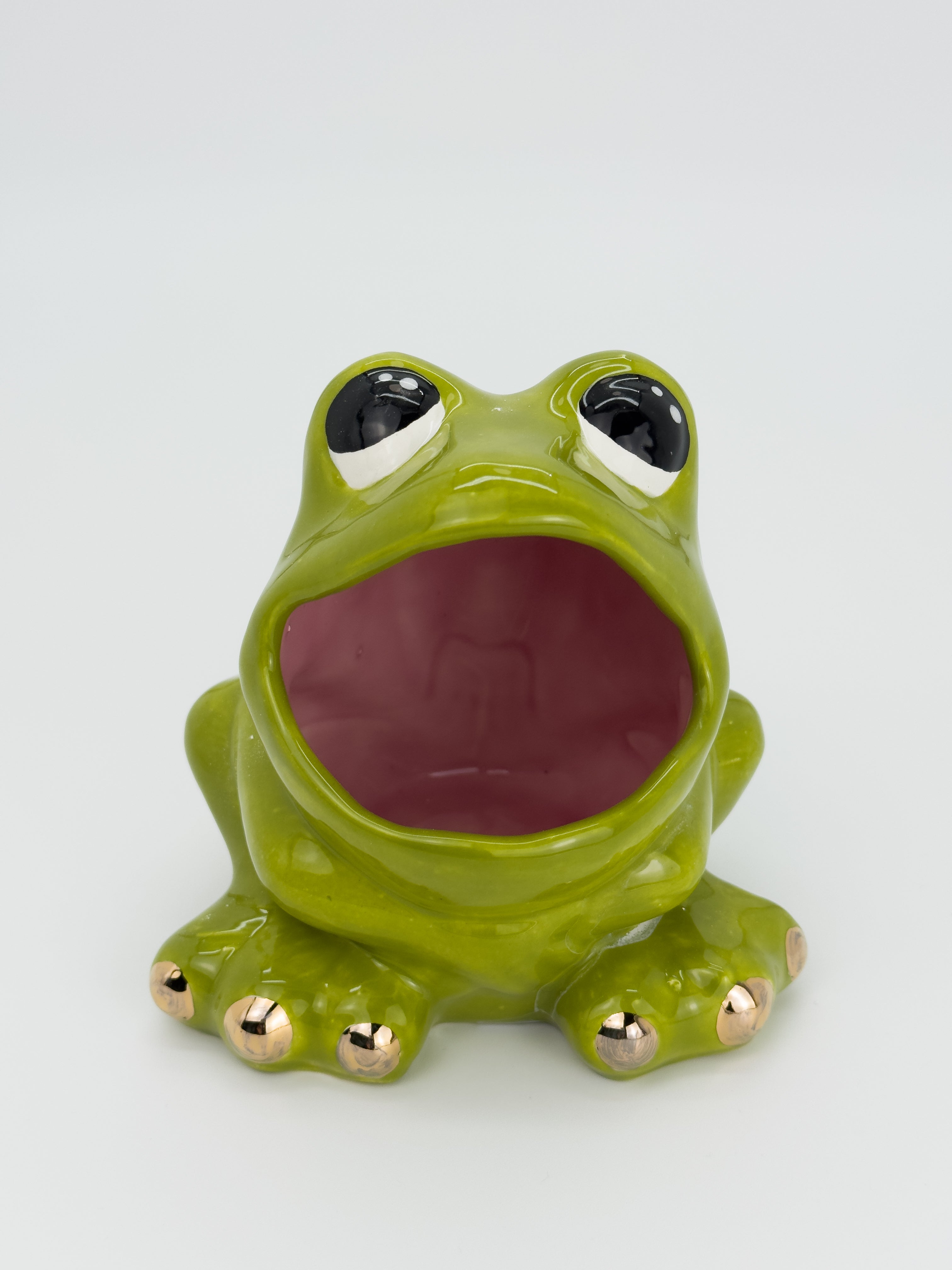 Green Frog Catch-All (Medium)