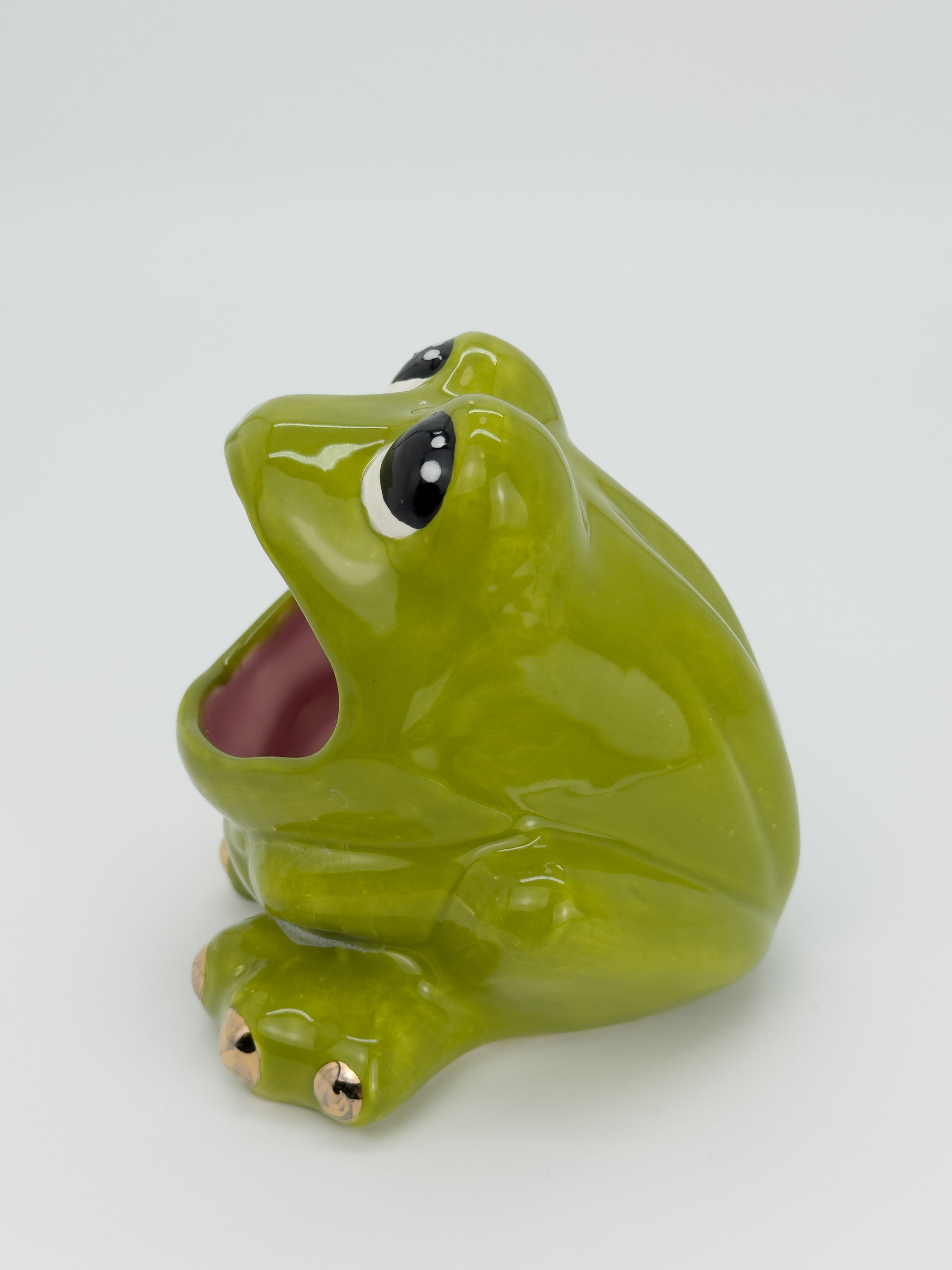 Green Frog Catch-All (Medium)