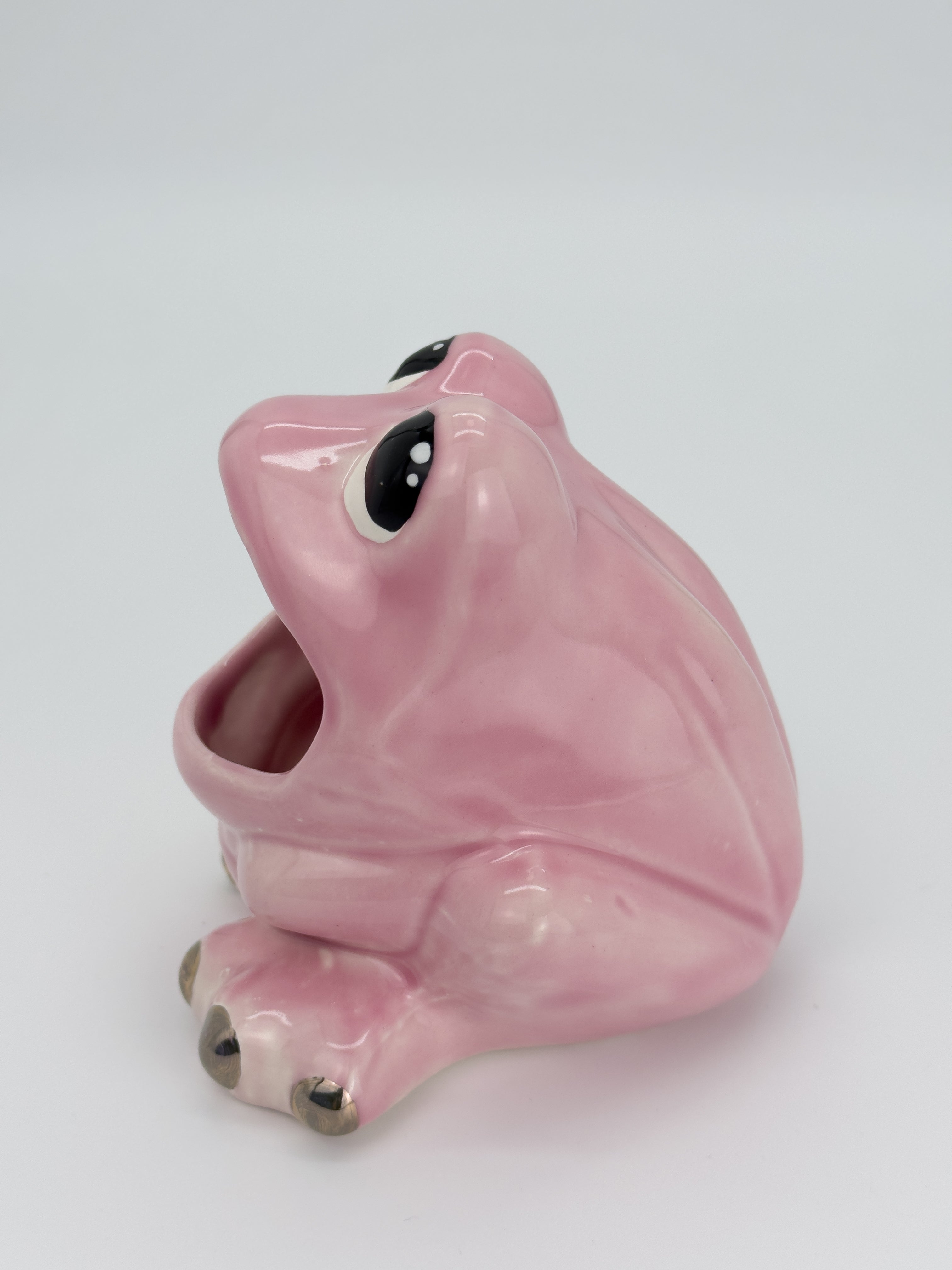 Pink Frog Catch-All (Medium)