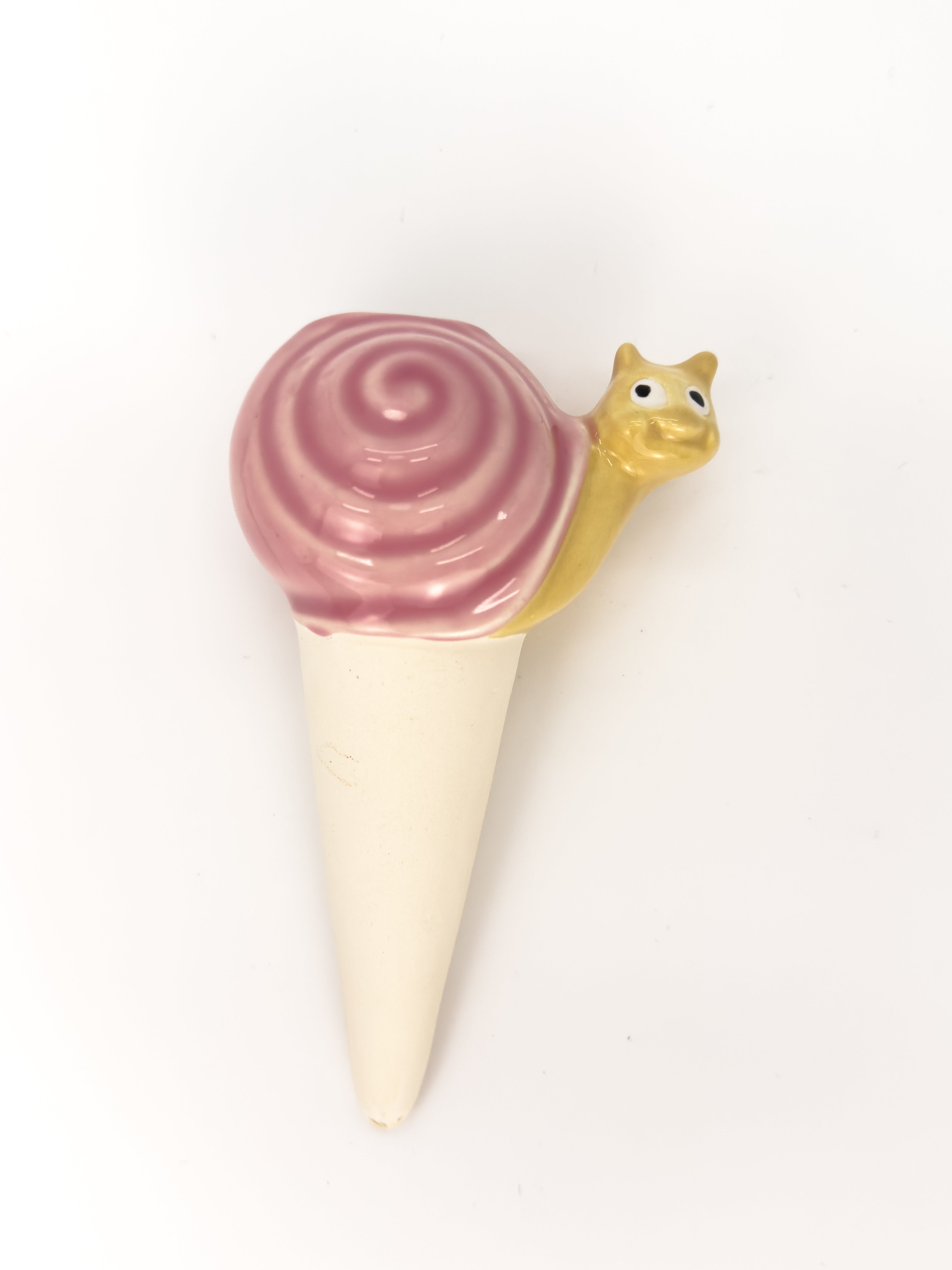 Pink Snail Plant Tender