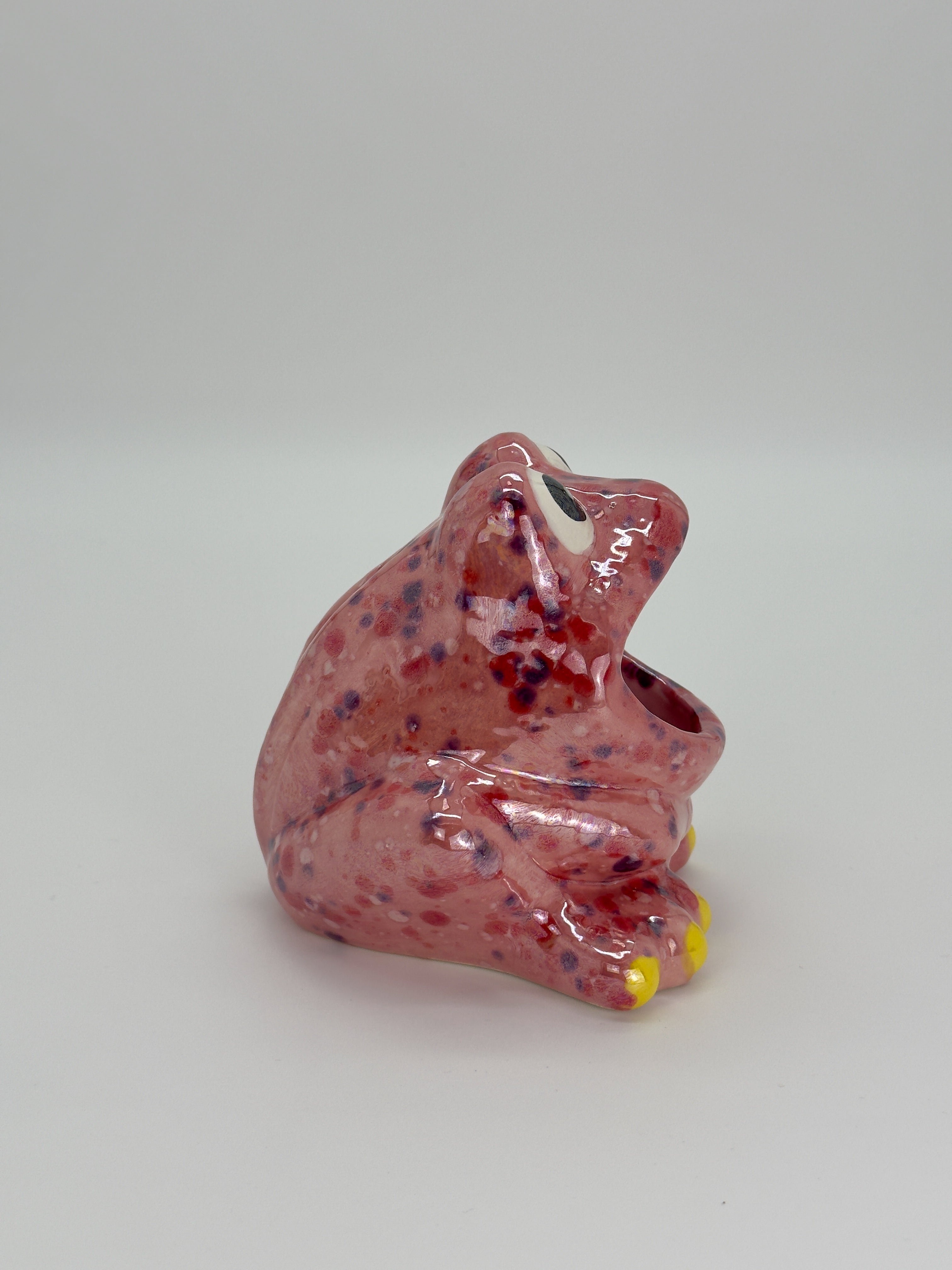 Pink Speckled Frog Catch-All