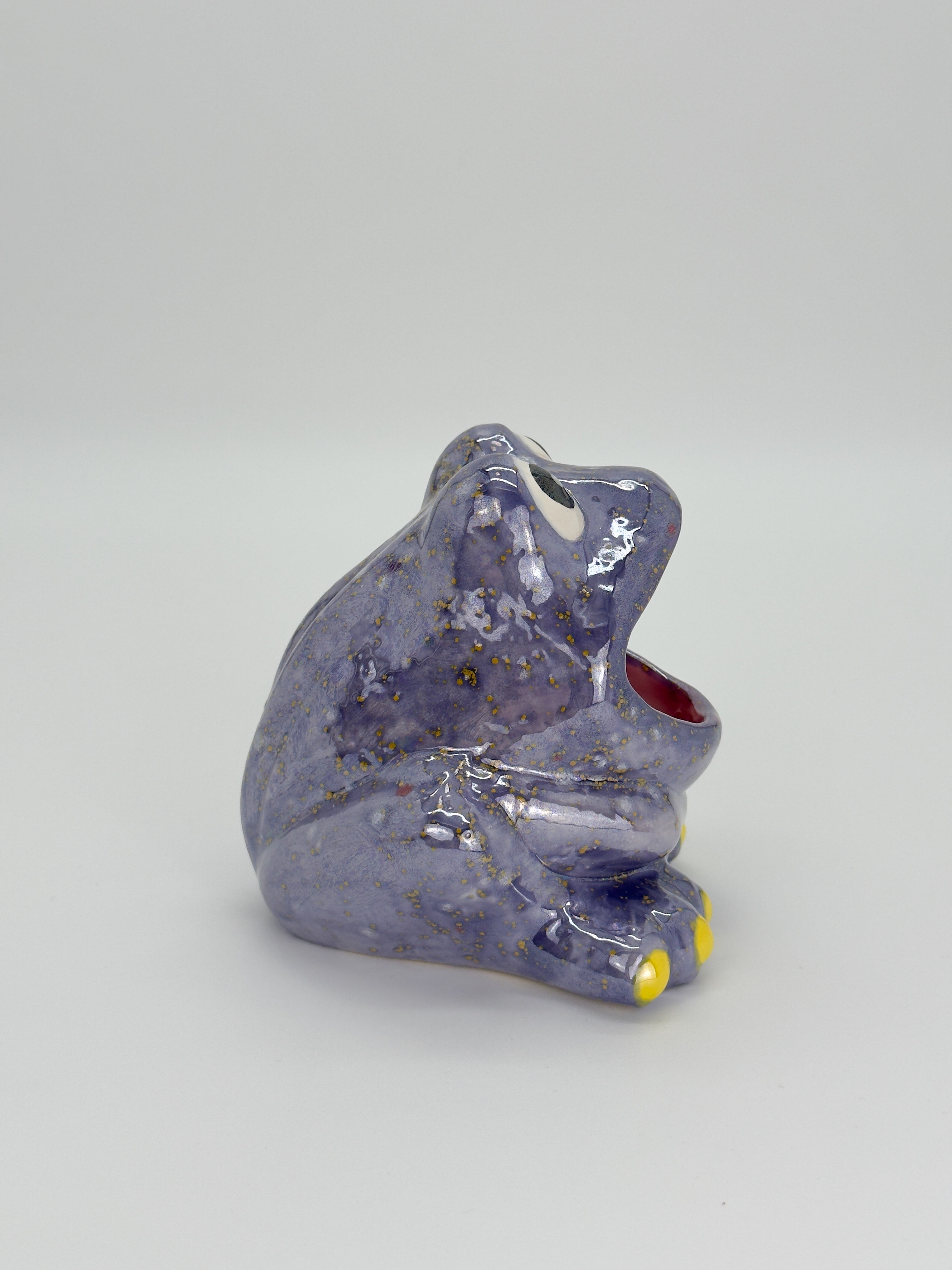 Purple Speckled Frog Catch-All